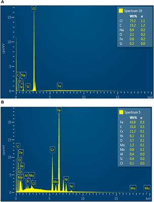 Examining the ability of palm kernel shell extract to control corrosion and assess its economic value on thermo-mechanically treated steel in artificial seawater: a sustainable and environmentally friendly approach